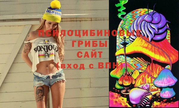 сатива Абаза