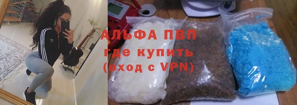 гидра Гусиноозёрск