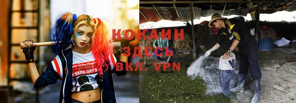 не бодяженный Алексин