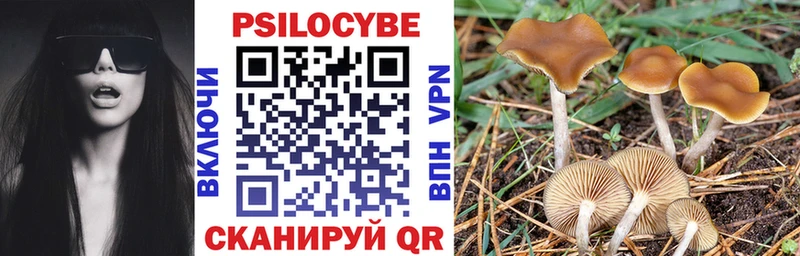 Псилоцибиновые грибы Magic Shrooms  Чита 